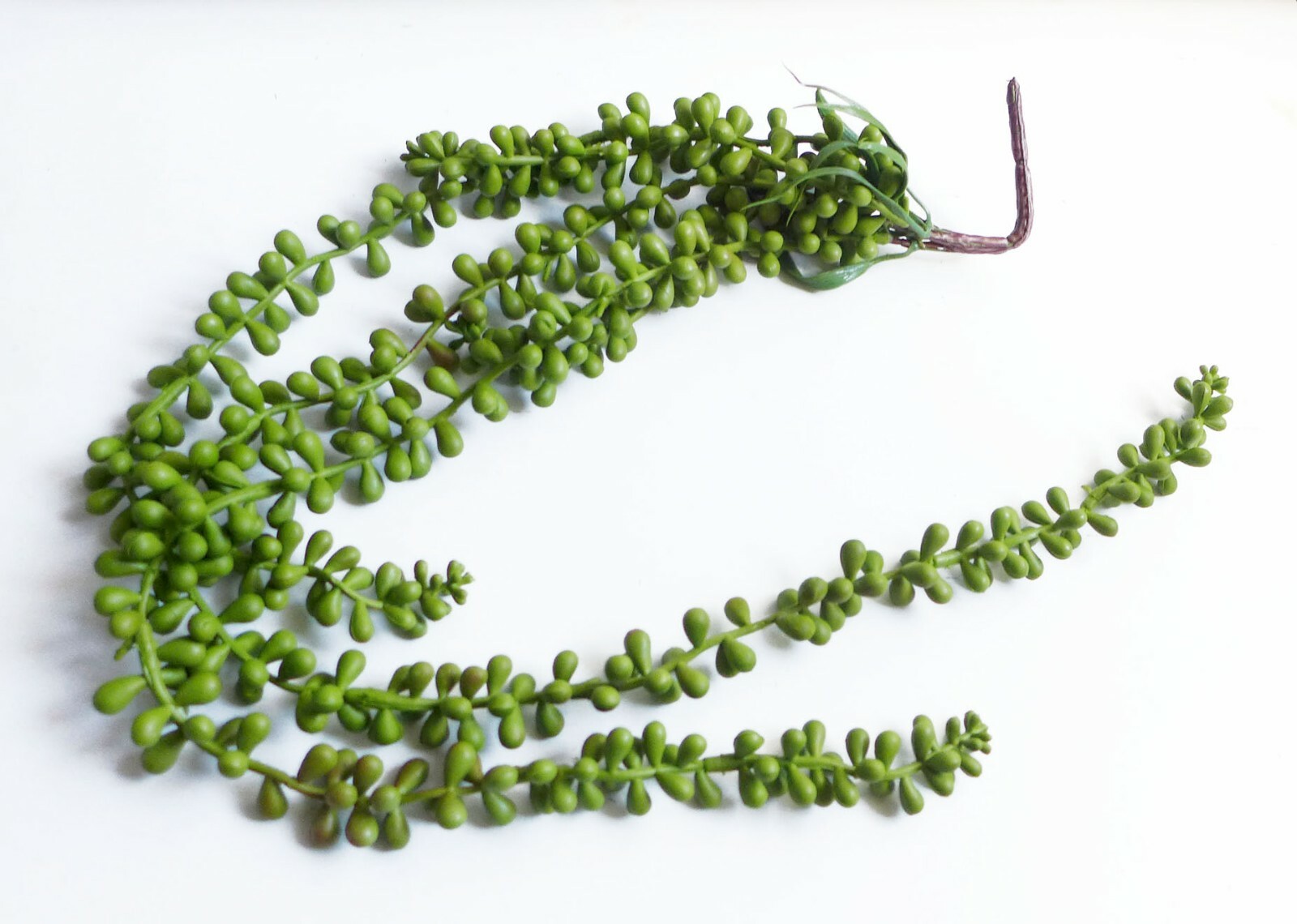 3 Pcs Beans Rattan Hangings Wall Artificial Plant Faux Plastic Vine