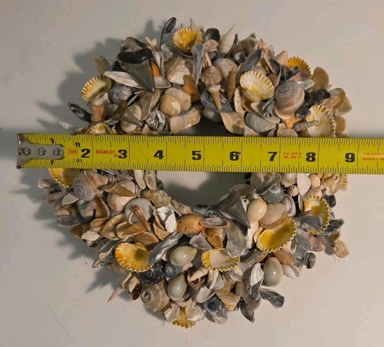 Coastal Seashell Wreath Fossil Shark Teeth Nautical 10″ Center Piece, Hang