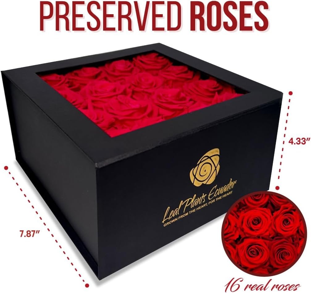 Premium Real Preserved Roses 16 PCS 100% Real Red Roses Lasting Up to 3 Years