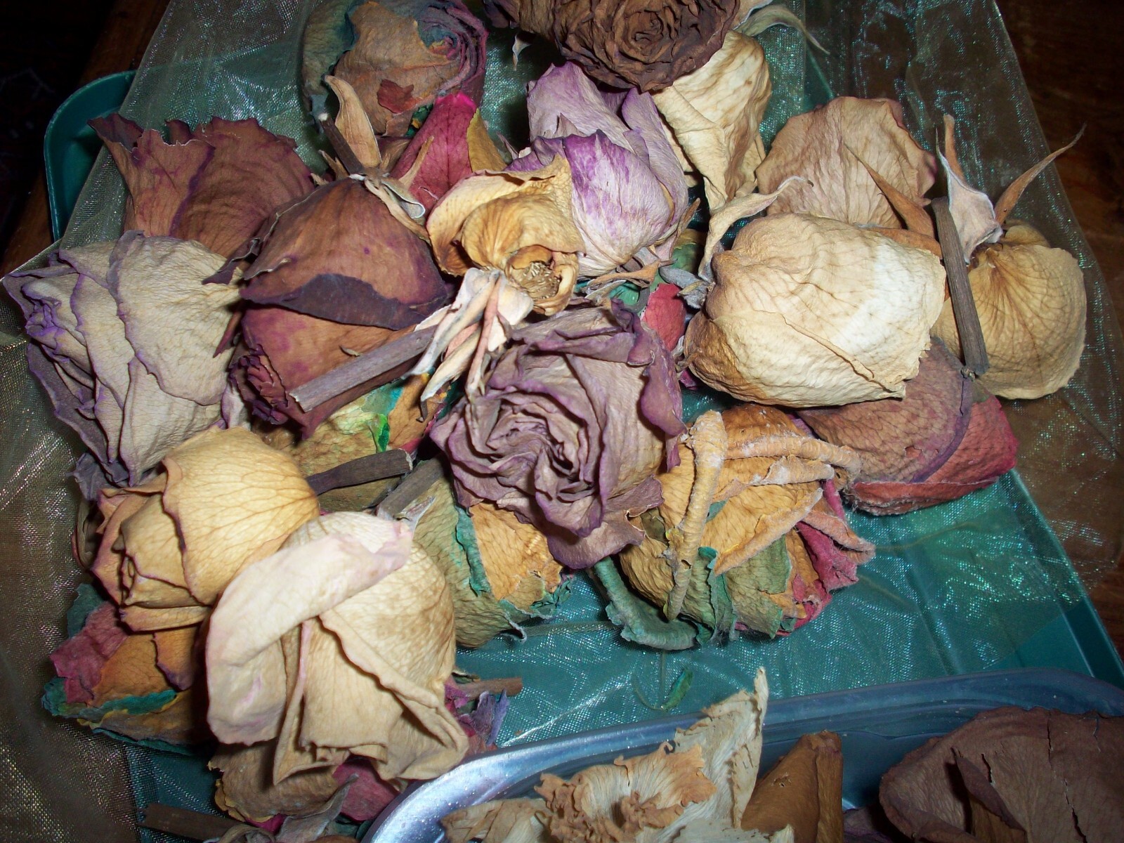 Real Dried Rose Flower Bunch of Dried Rose Heads Craft Floral Living Room Decor