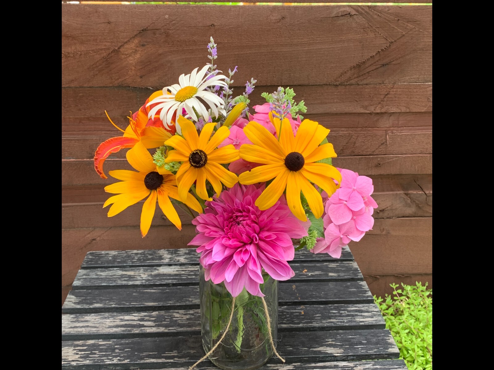 Fresh Cut Variety Flowers – Garden of Eden Flower Company