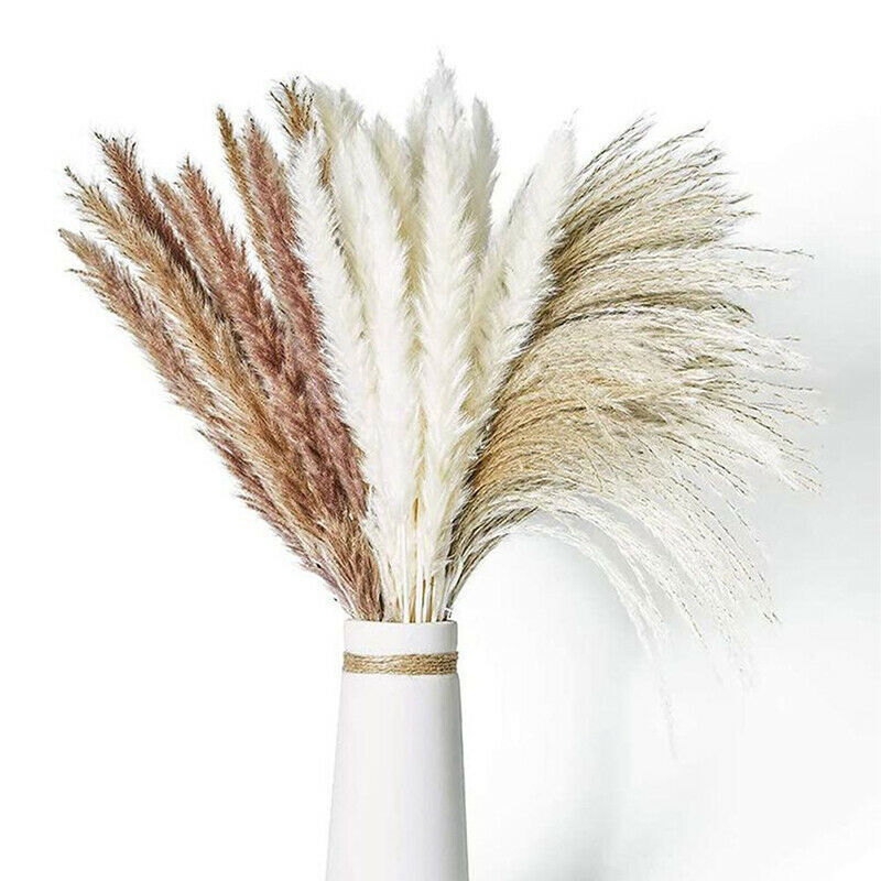 Natural Dried Plants Flower Bouquet Pampas Grass Reeds for DIY Boho Decor Home