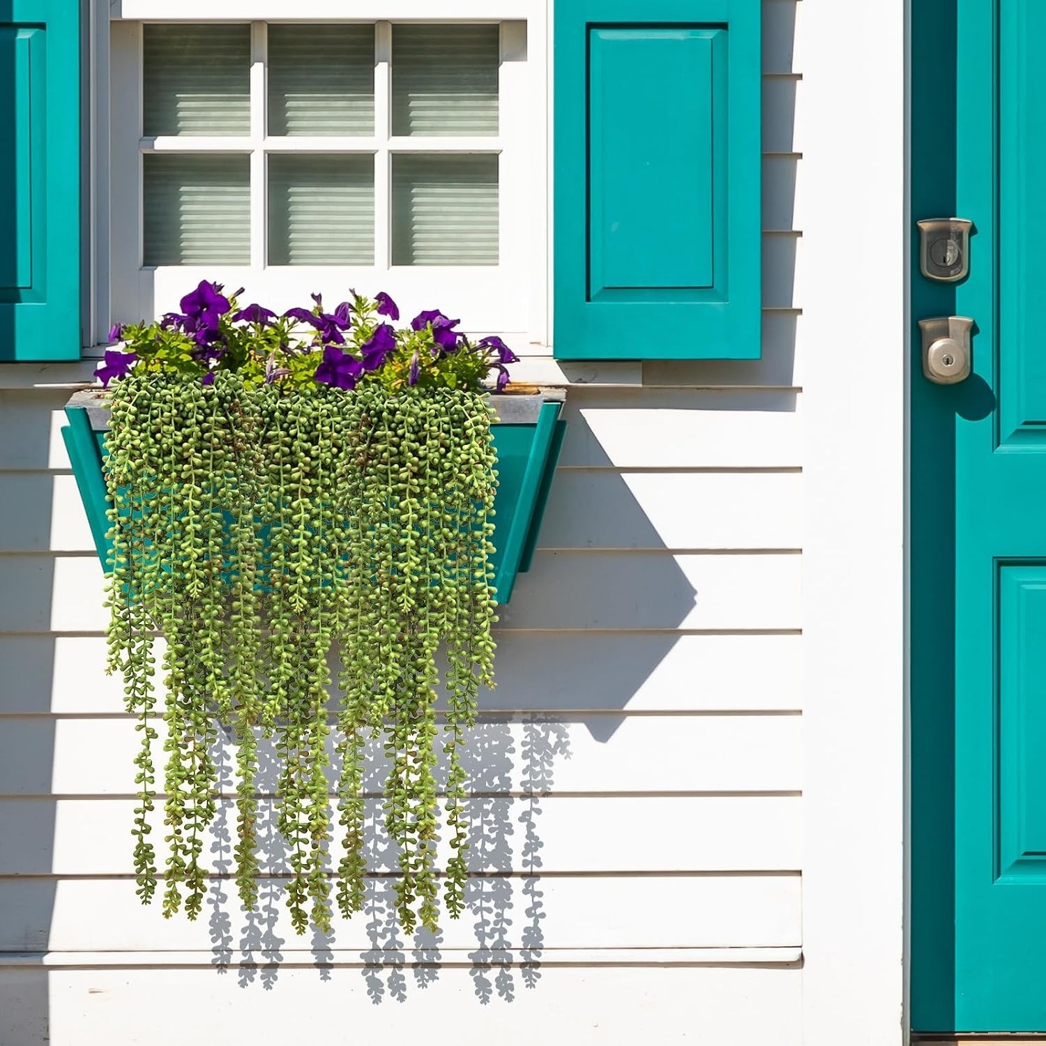 Realistic Greenery: Artificial String of Pearls for Relaxing Home Decor Vibes