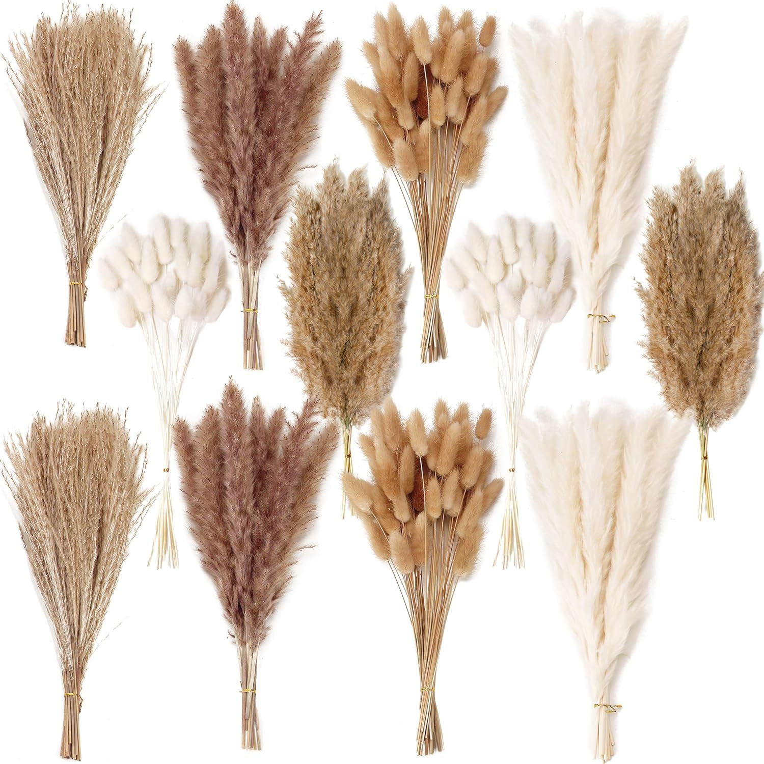 Dried Pampas Grass Decor, 120 PCS Pampas Grass with Bunny Tails Dried Flowers, R