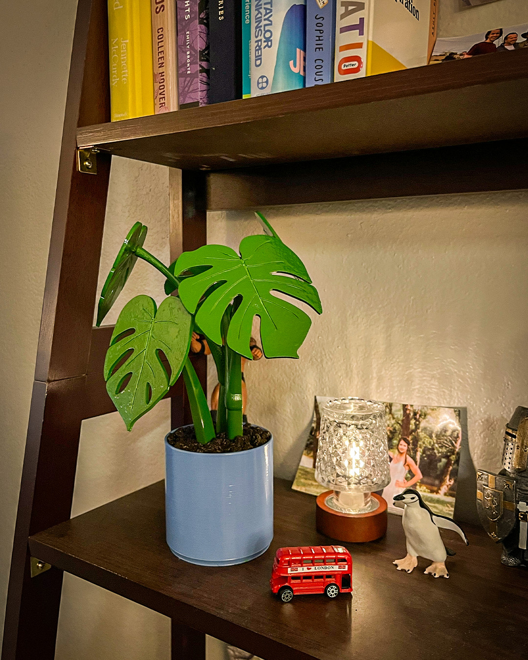 Monstera Plant, 3D printed Plant, Magnetic Leaves, Fake Plant, Detachable Leaves