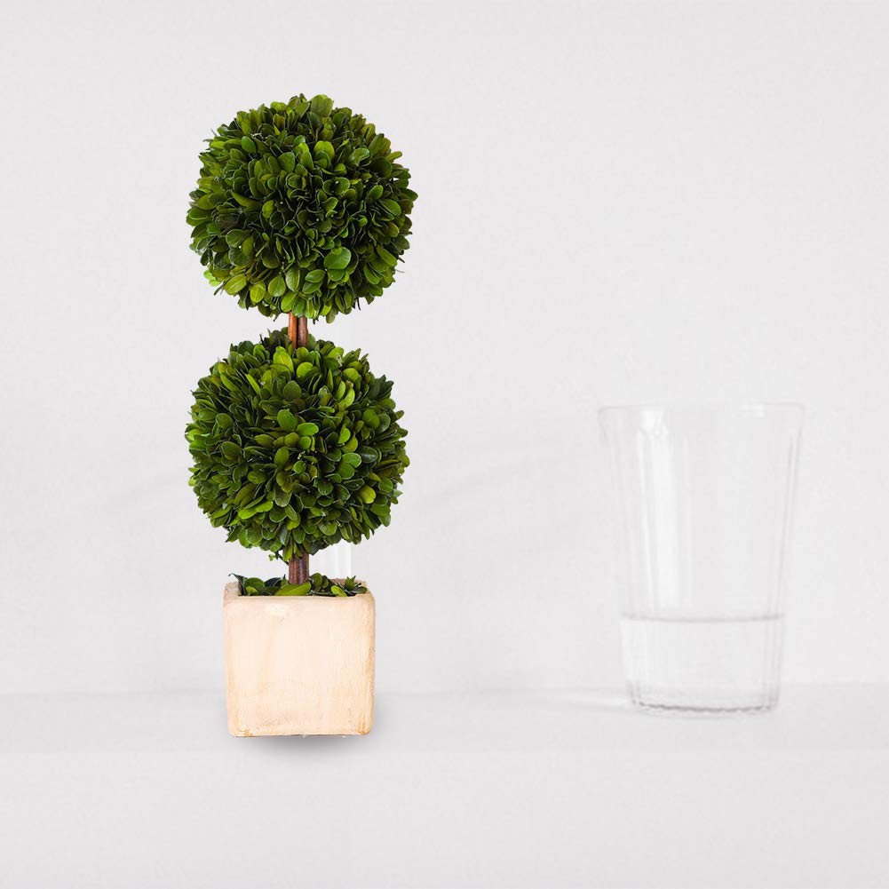 Potted Preserved Boxwood Topiary Green Plant for Home Decor Double Ball Shape 12