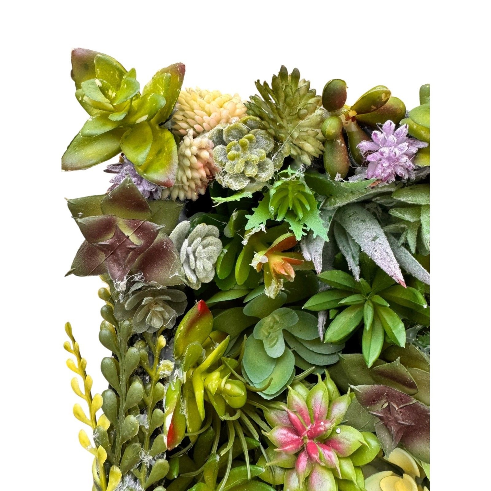 Succulent Wall Art Boho Faux Botanical Decor 8x8x2