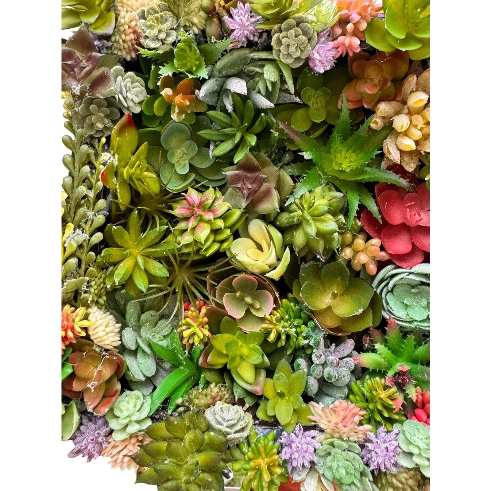 Succulent Wall Art Boho Faux Botanical Decor 8x8x2