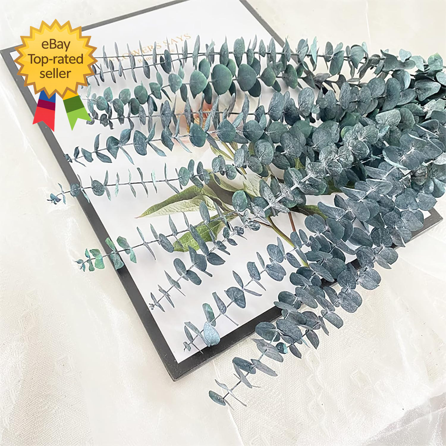 Eucalyptus for Shower 10 Pcs Hanging Dried Eucalyptu Stems 17″ Real Eucalyptus