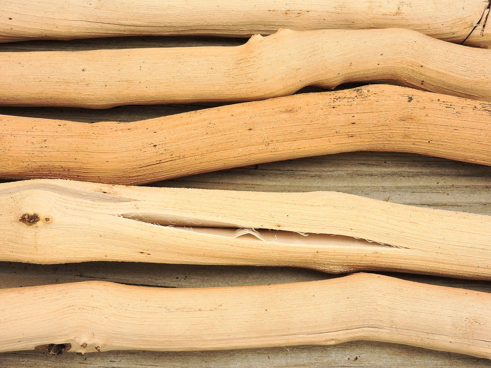 10 Grapevine Wood Stick Section 3/4~1 1/8″D 11~13″L Driftwood Decor Crafts