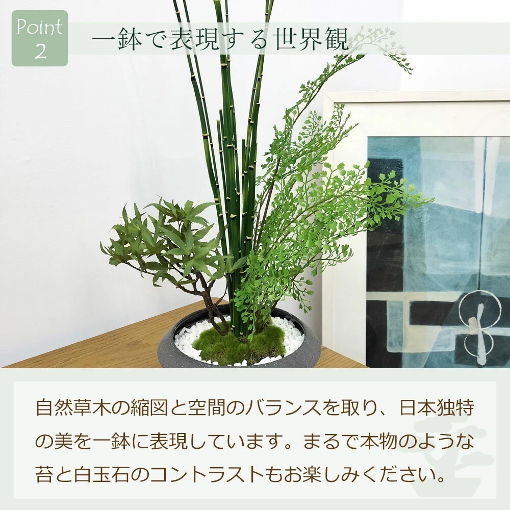 Artificial Japanese Bonsai Maple Adiantum Horsetail Plant CUPBON Made in Japan