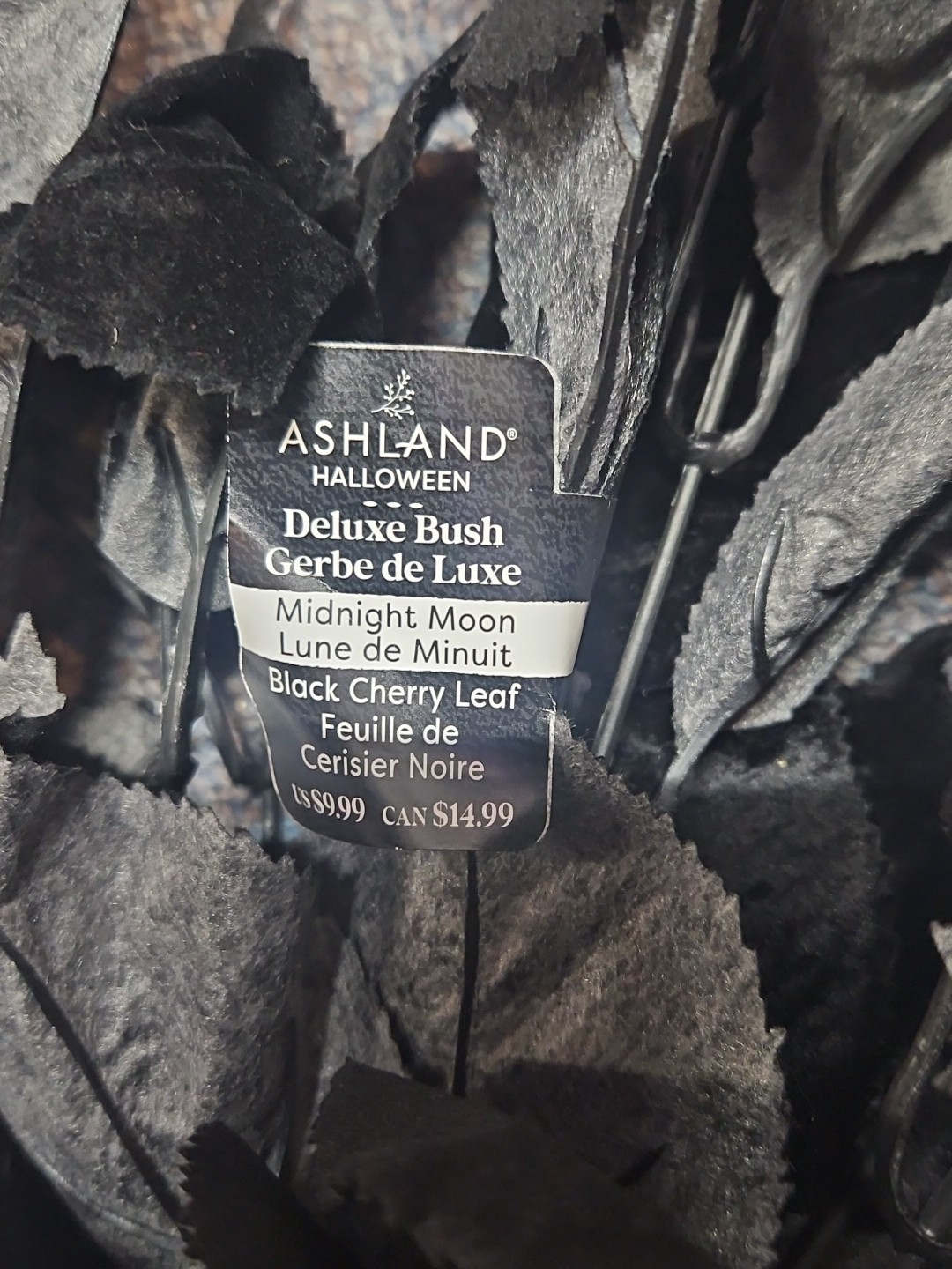 Ashland Midnight Moon Black Cherry Leaf Deluxe Bush Set Of 3