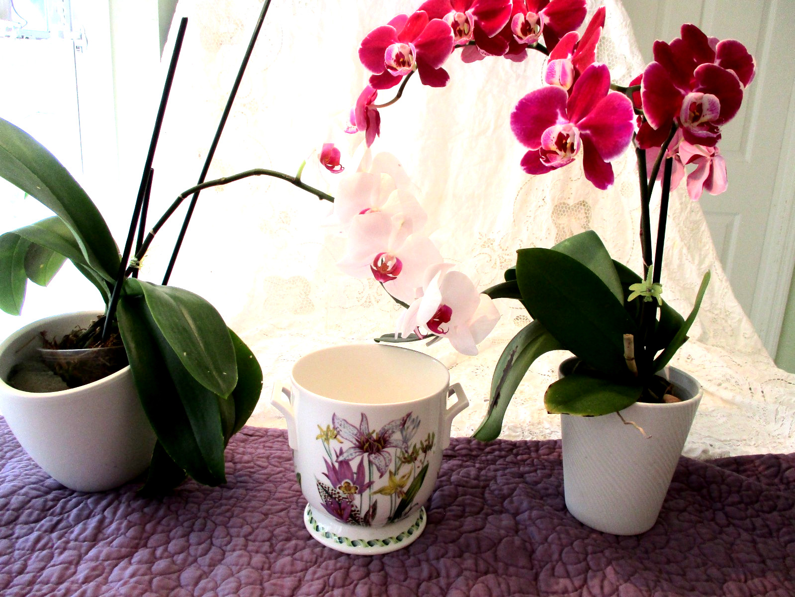 Portmeirion Ladies Flower Garden Footed Orchid Cache Pot Planter Mint Rare!