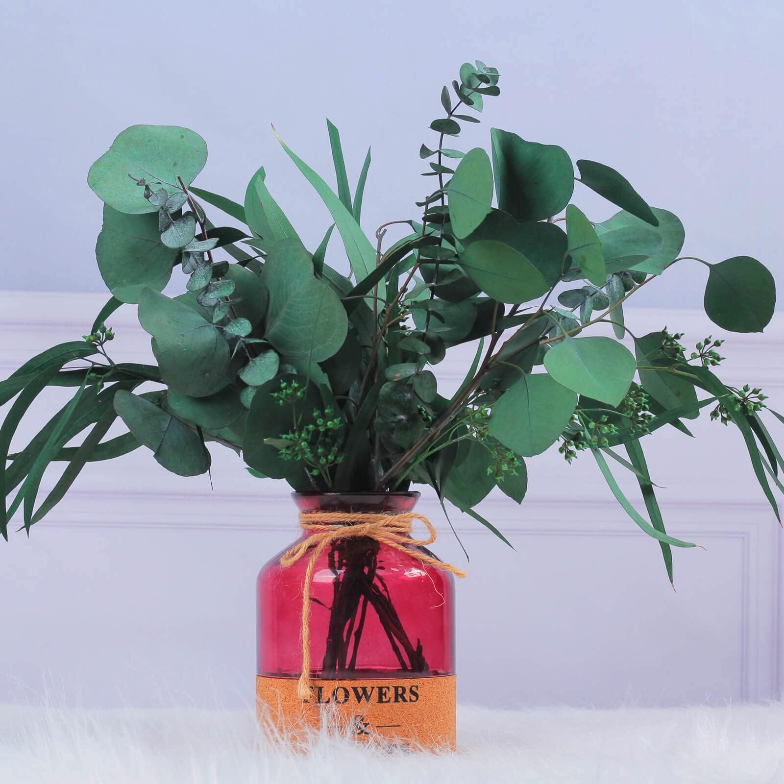 Real Dried Eucalyptus Leaves Stems, Silver Dollar and Seeded Mixed, 12Pcs