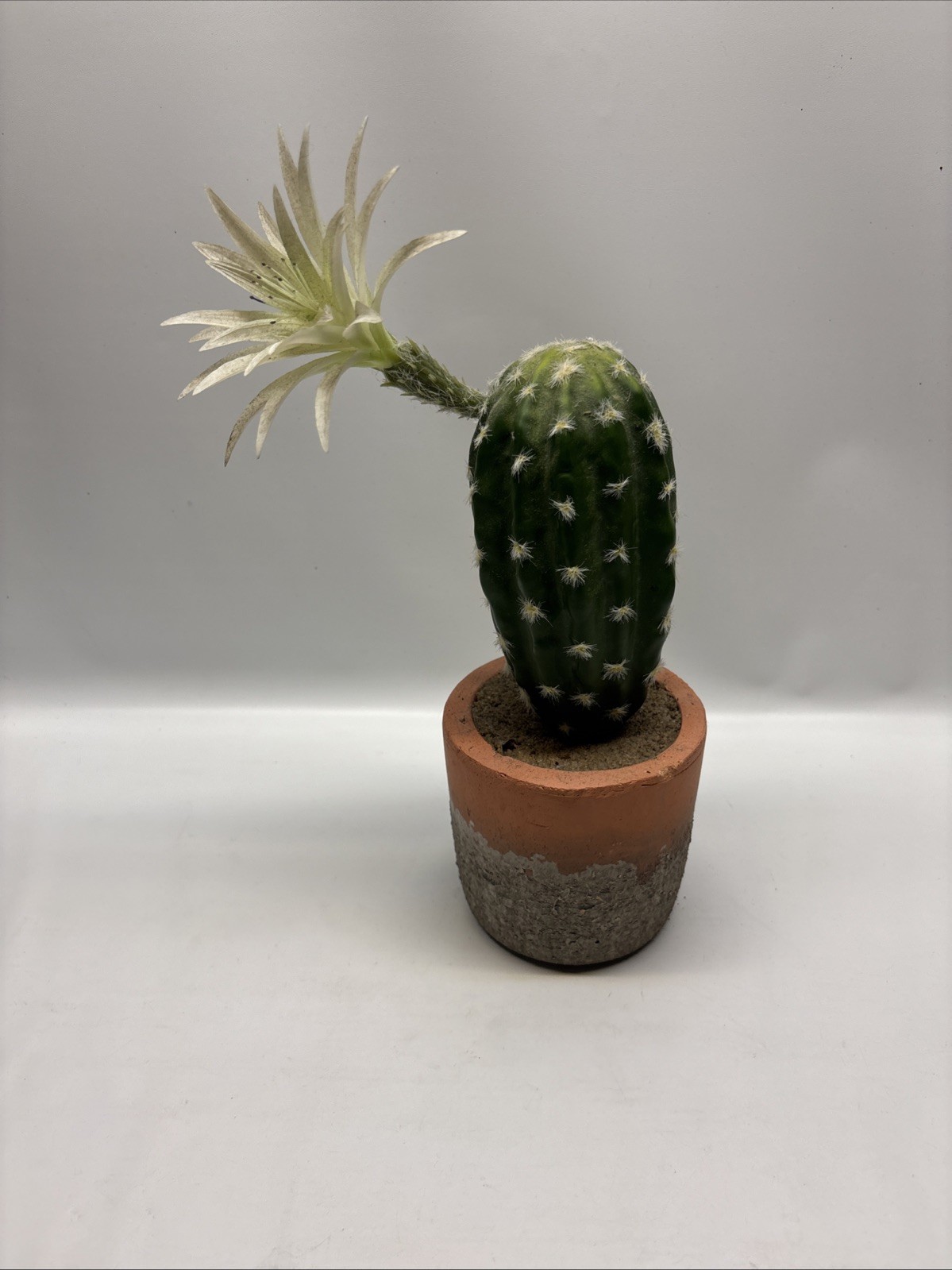 artificial Faux cactus home decor Style Modern Decor Inside In Terra Cotta 12”