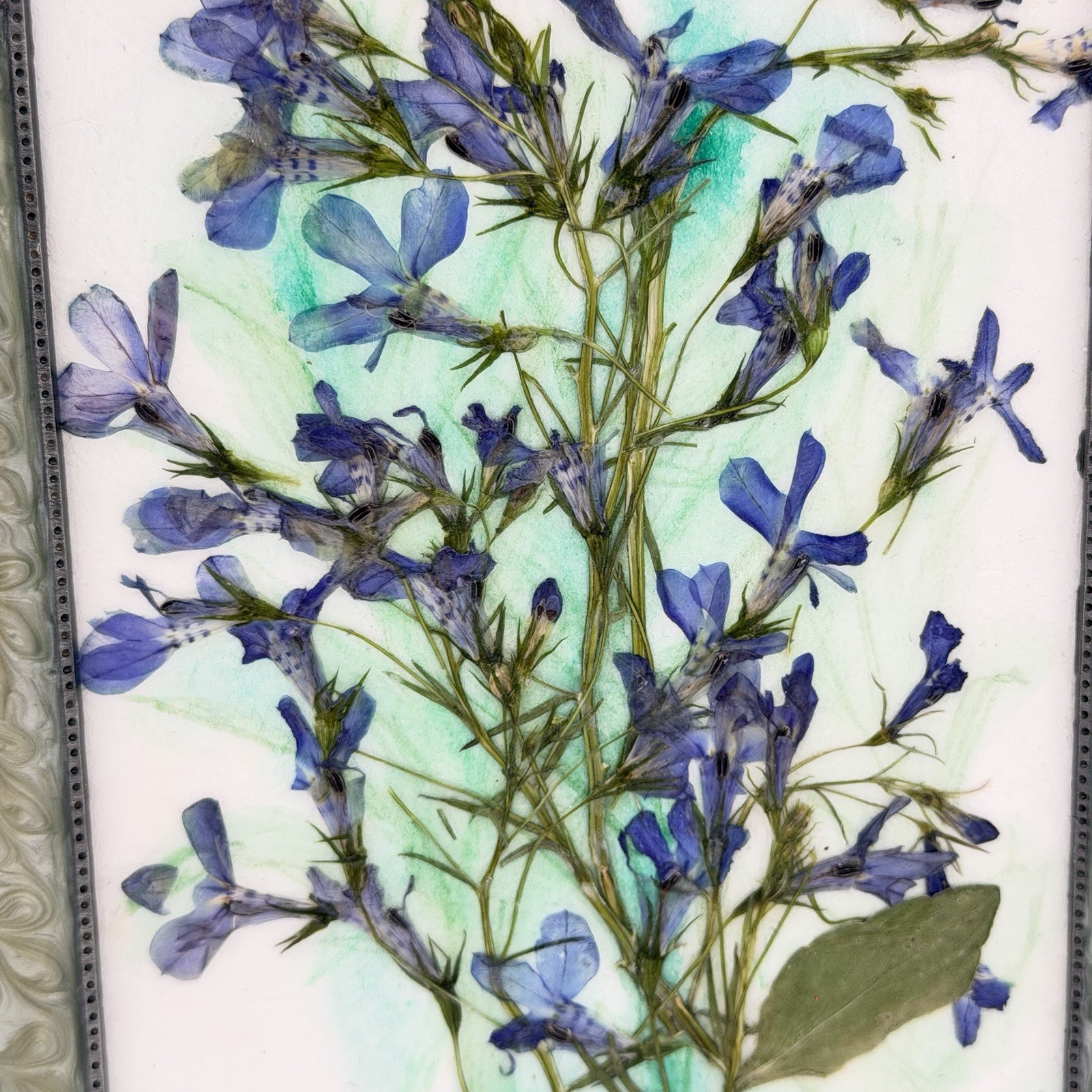 Botanical Art Pressed Blue Flowers In Ornate Metal Frame 6.75 X 4.5 Inch Signed