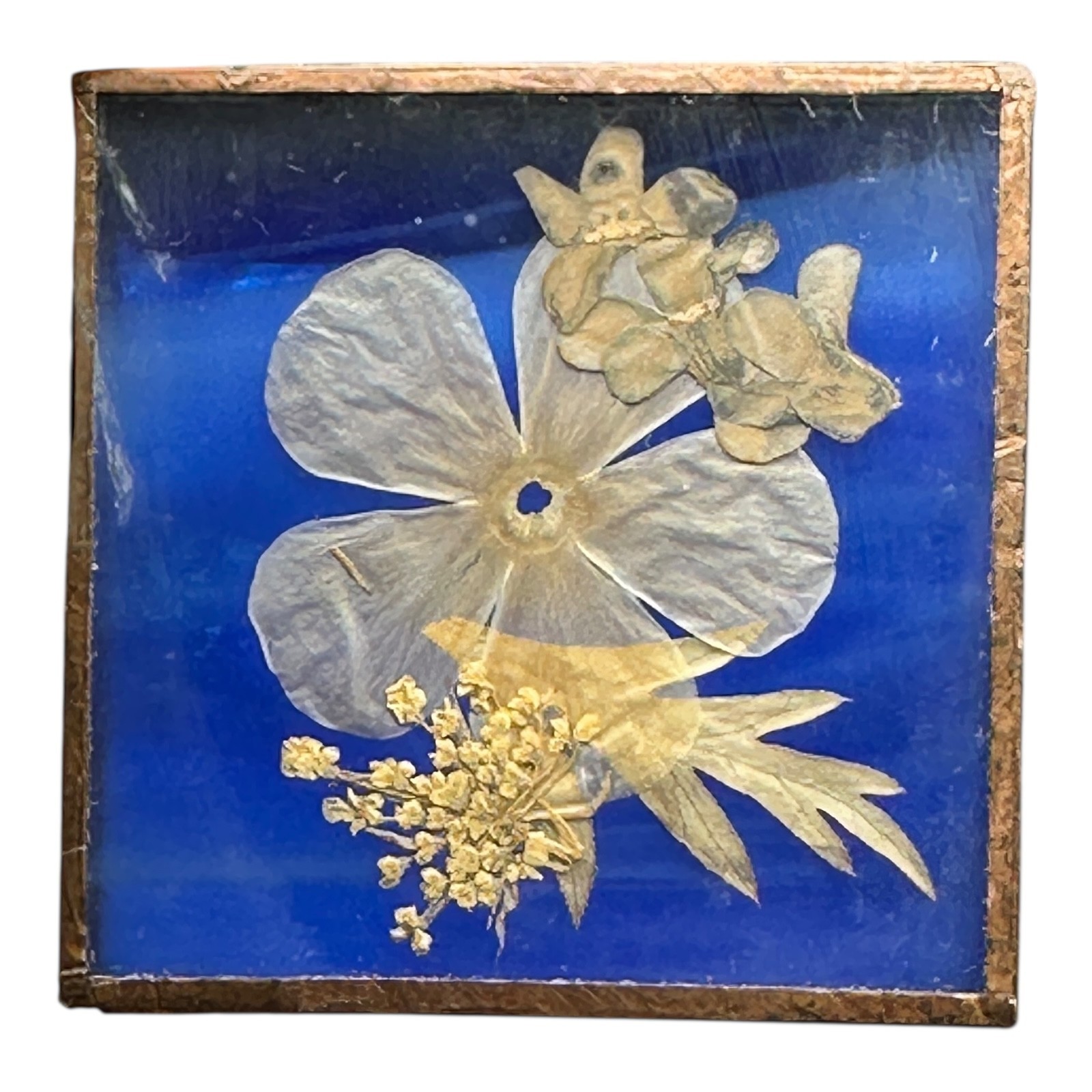 Vintage 70s BC Canada Pressed Flower Fused Glass Tile Cobalt Copper Frame 1½”