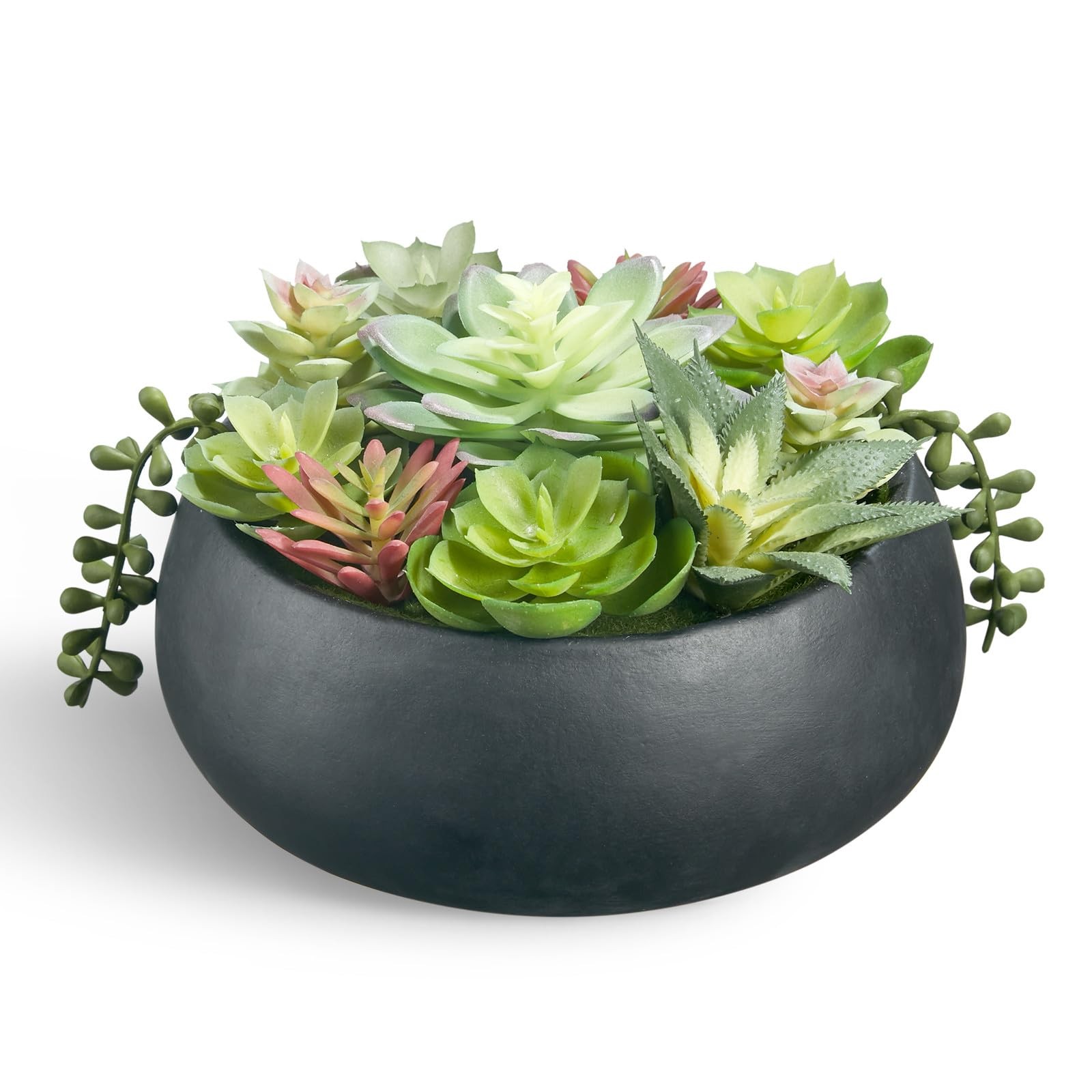 Best 8inch Artificial Succulent Plants in Pots,Large Fake Succulents with Black