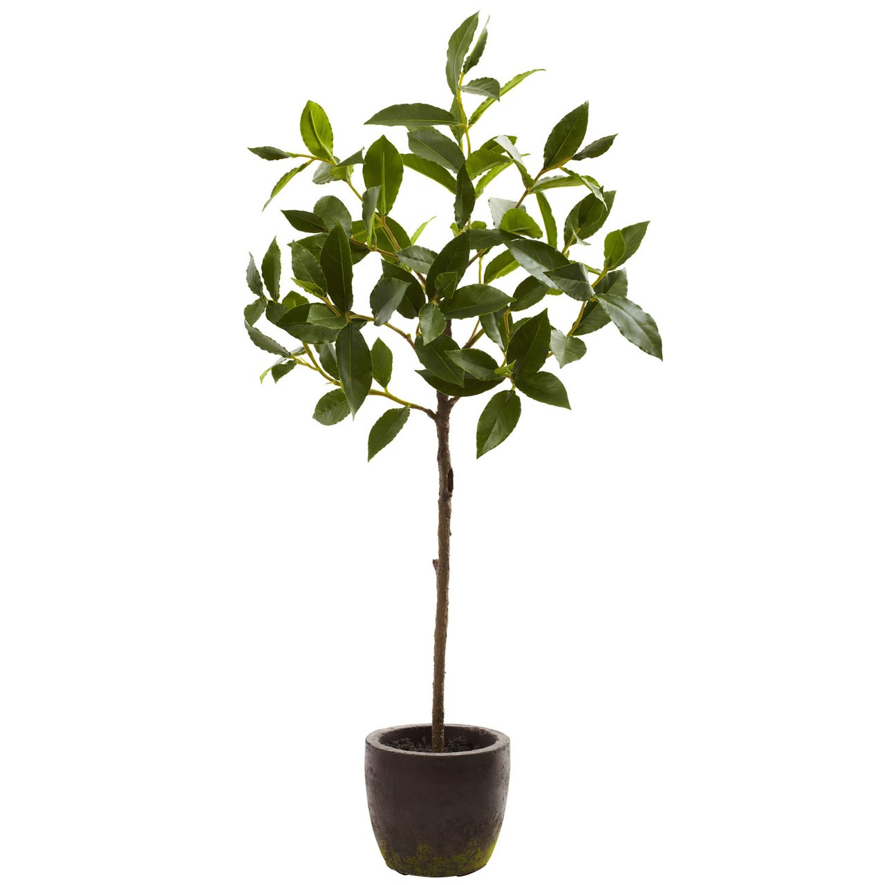 29” Silk Topiary Tree w/ Decorative Pot