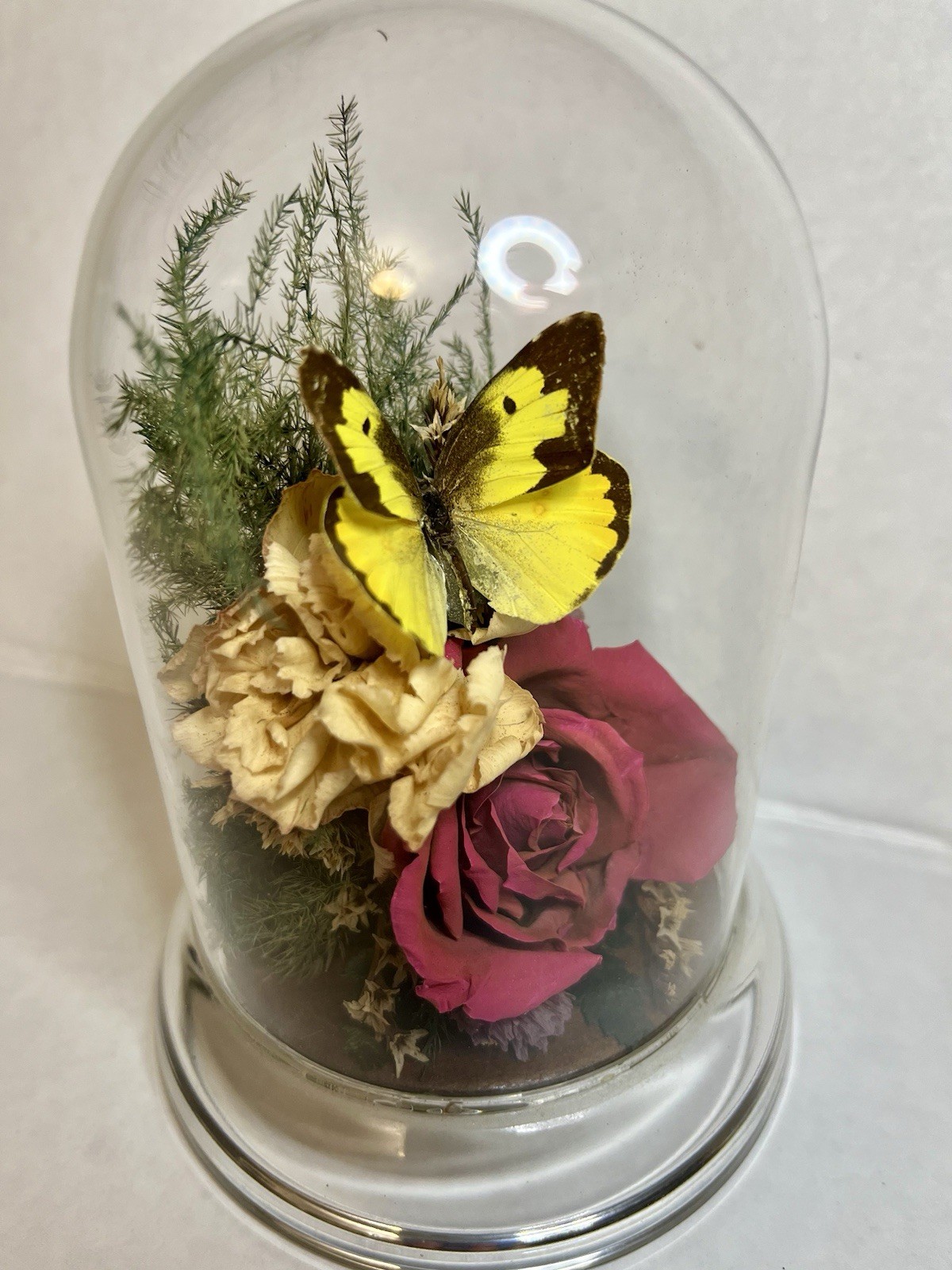Vintage 90s Natural Expressions Dried Roses Butterfly Glass Terrarium Grannycore