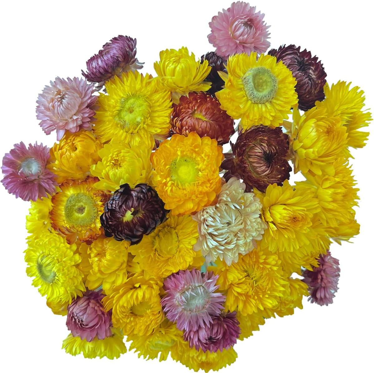 40 Pcs Natural Dried Daisies, Dried Daisy Flowers Bouquet with Stem for Wedding