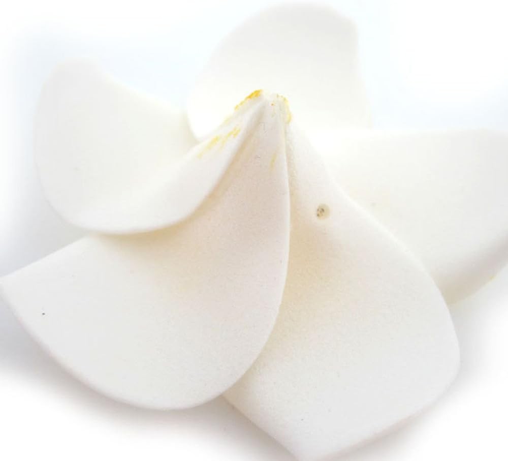 100Pcs White Foam Hawaiian Frangipani Artificial Plumeria Flower Petals Cap Hair