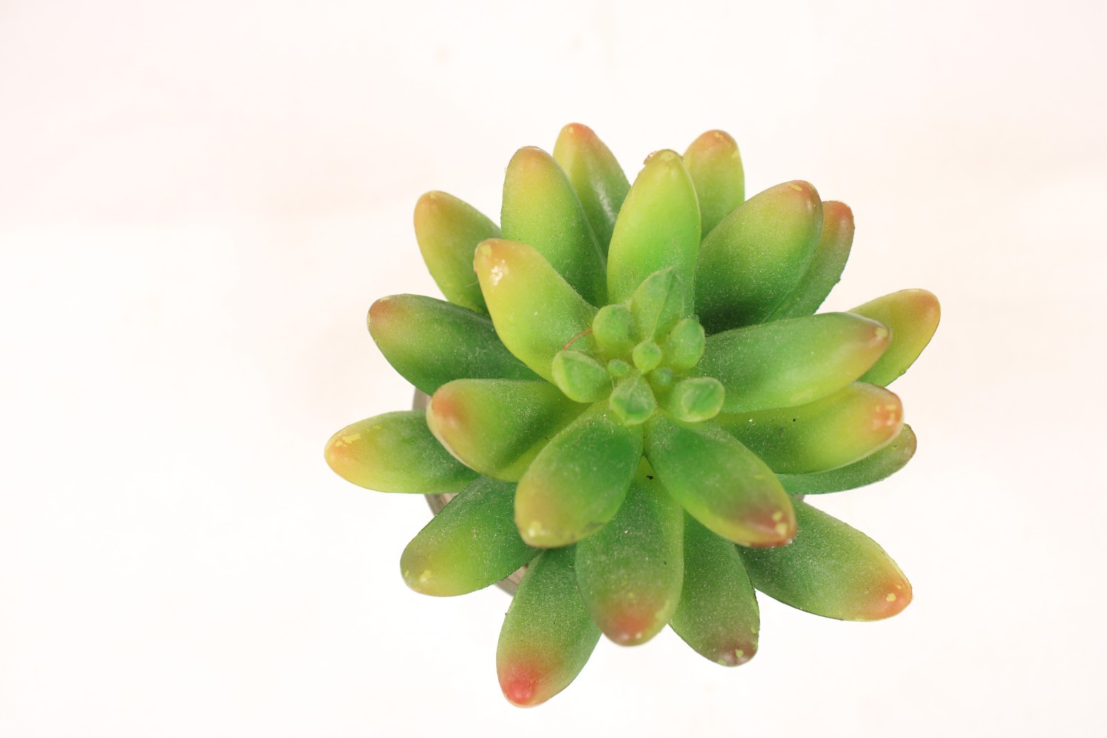 Set Of 3 Garden Faux Succulents Small Mirrored Glass Pot Artificial Plant Decor