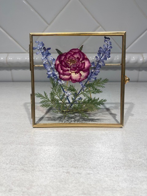 Pressed Dried Real Flowers in Floating Glass Frame