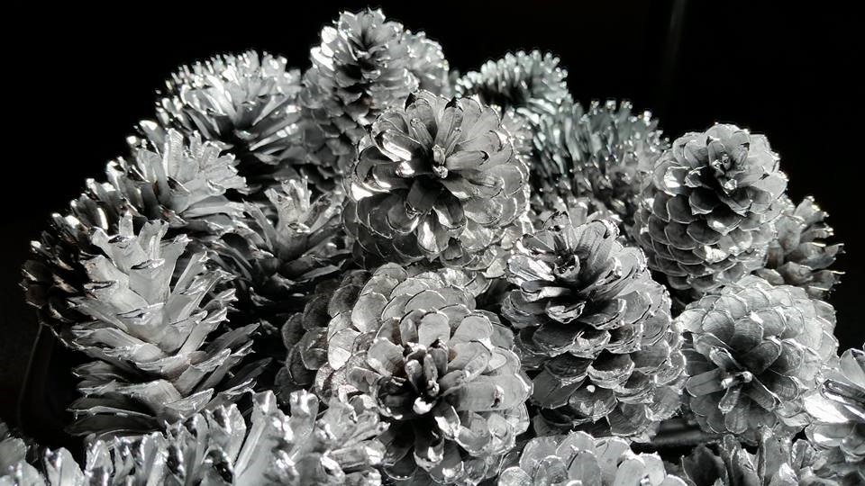Silver Pine Cones Hand Painted All Natural Premium Quality Cones One Dozen 
