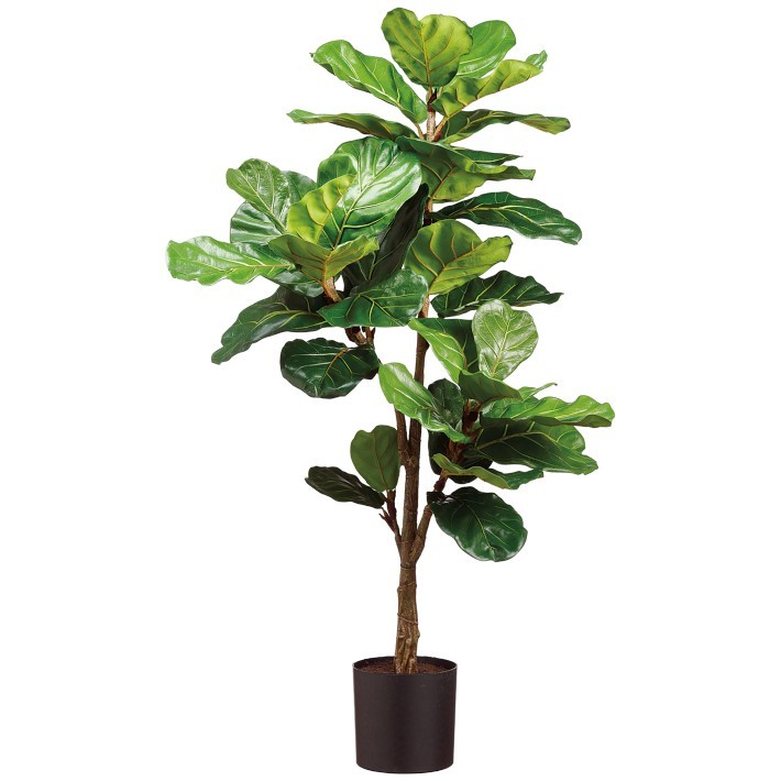 Faux Fiddle Leaf Plant in Plastic Pot, 56″-Williams Sonoma|39105