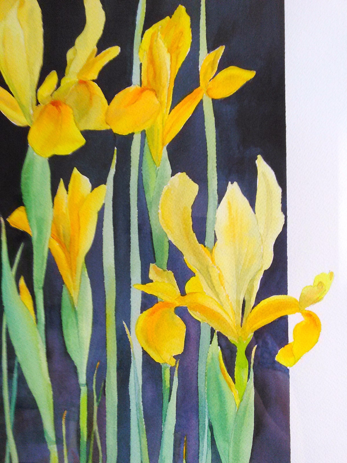 Painting Original Framed Watercolor Yellow Green Flowers Floral Irises Garden US
