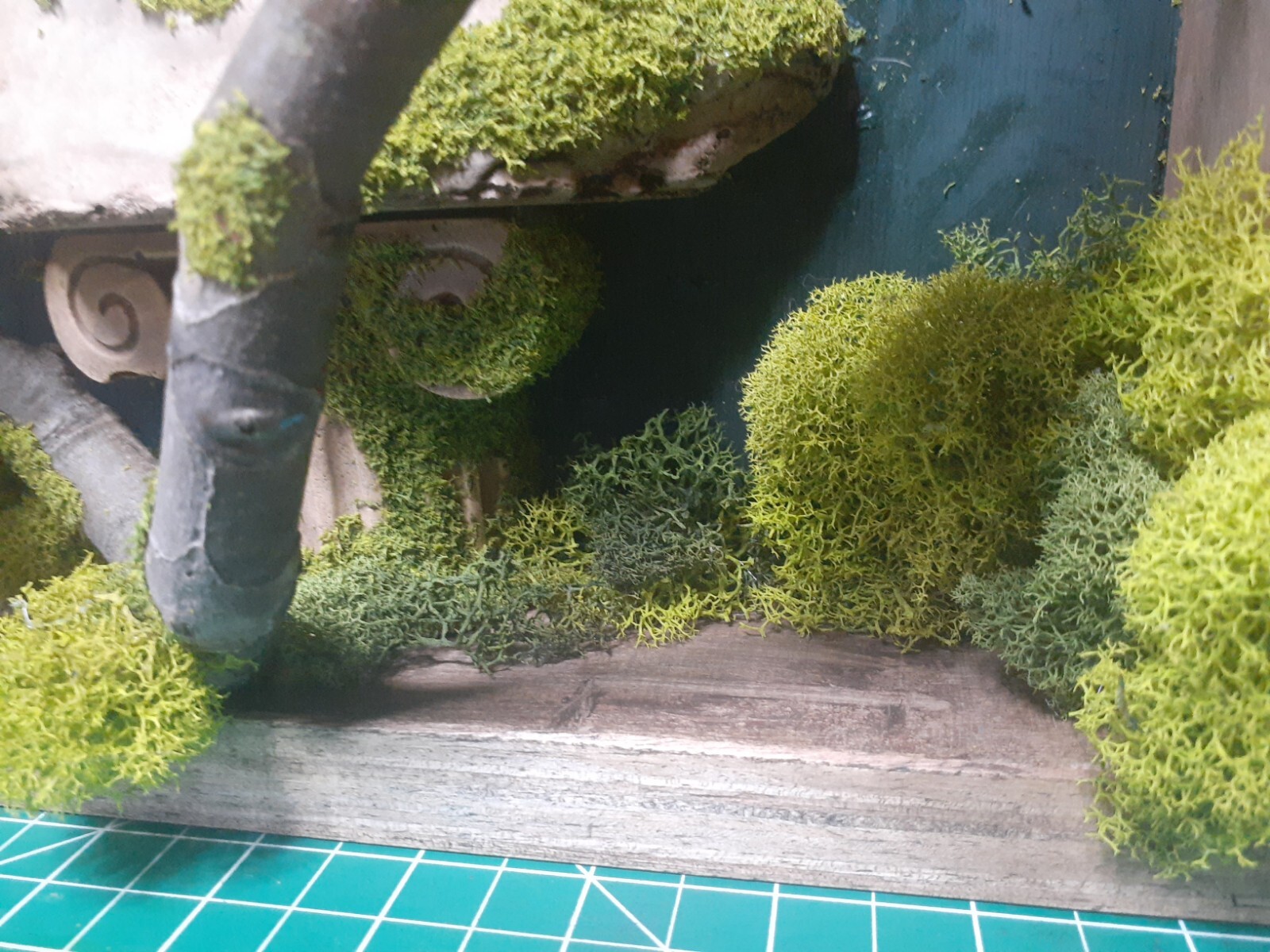 Reindeer Moss/ THE DAVID Forest Shadow Boxes 12″ x 12″ x 3″ inches