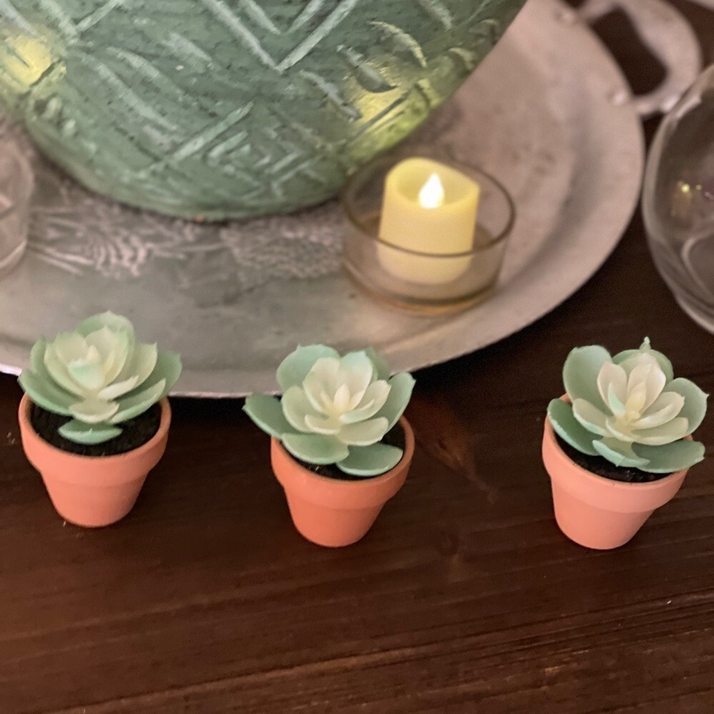 Set of new small decor succulent plant trio table top home accent mini event