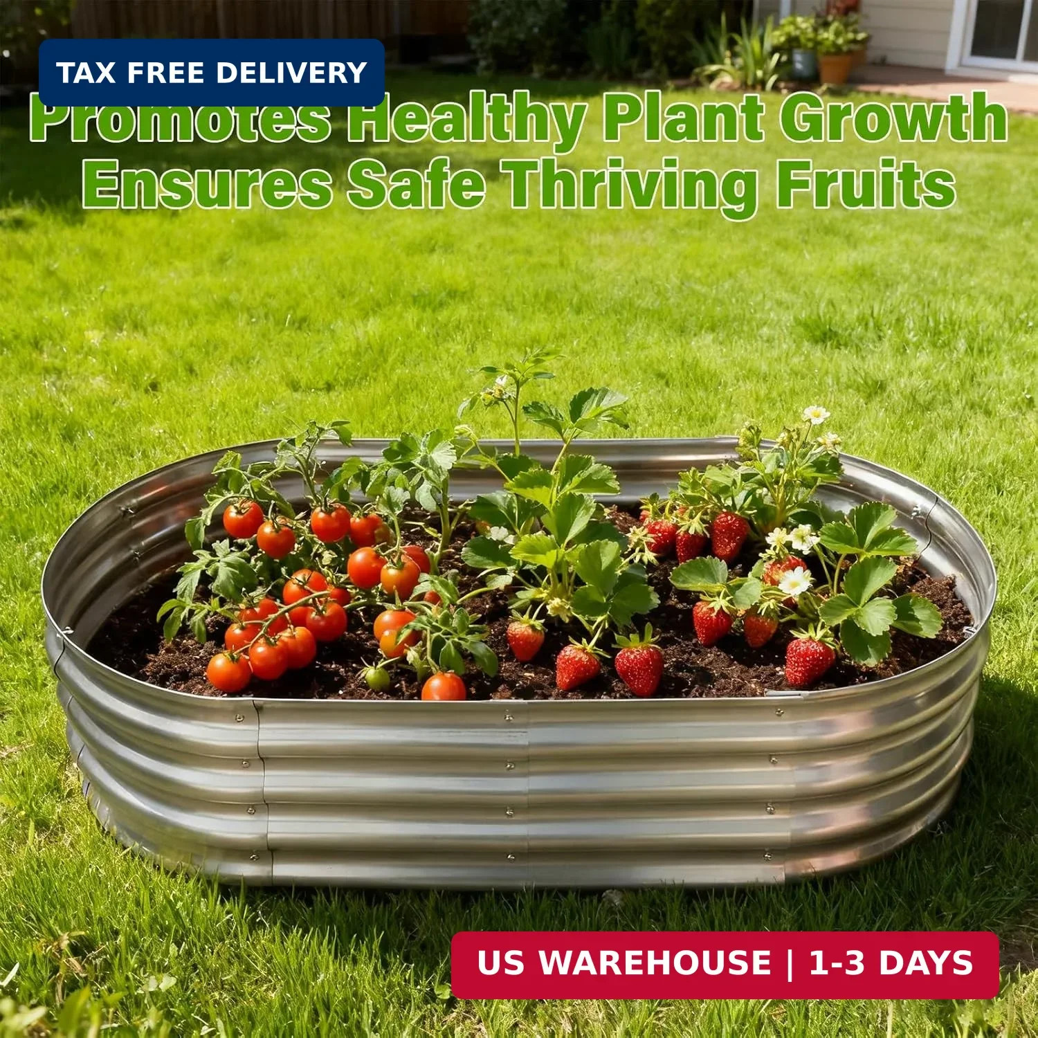 Galvanized Raised Garden Bed for Outdoor: 4X2X1ft Durable Metal Vegetable Plant