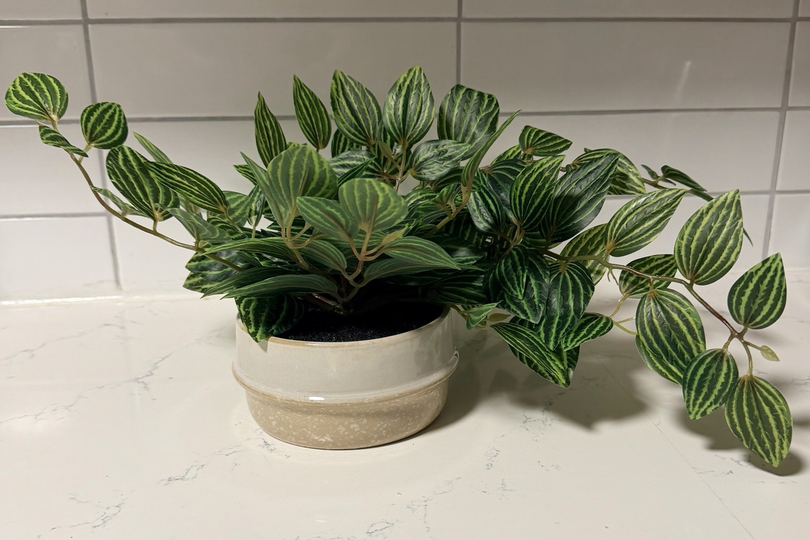 NEW! Ceramic Potted Faux Artificial Plant 6” H 15” L. Office Or Home Plant