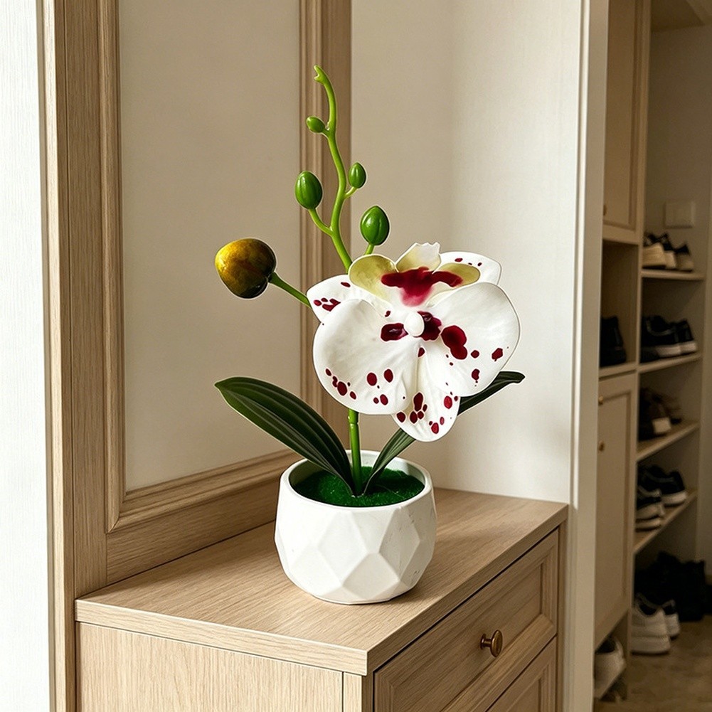 Phalaenopsis Floral Reproduction in Diamond Designed Pot for Contemporary Space