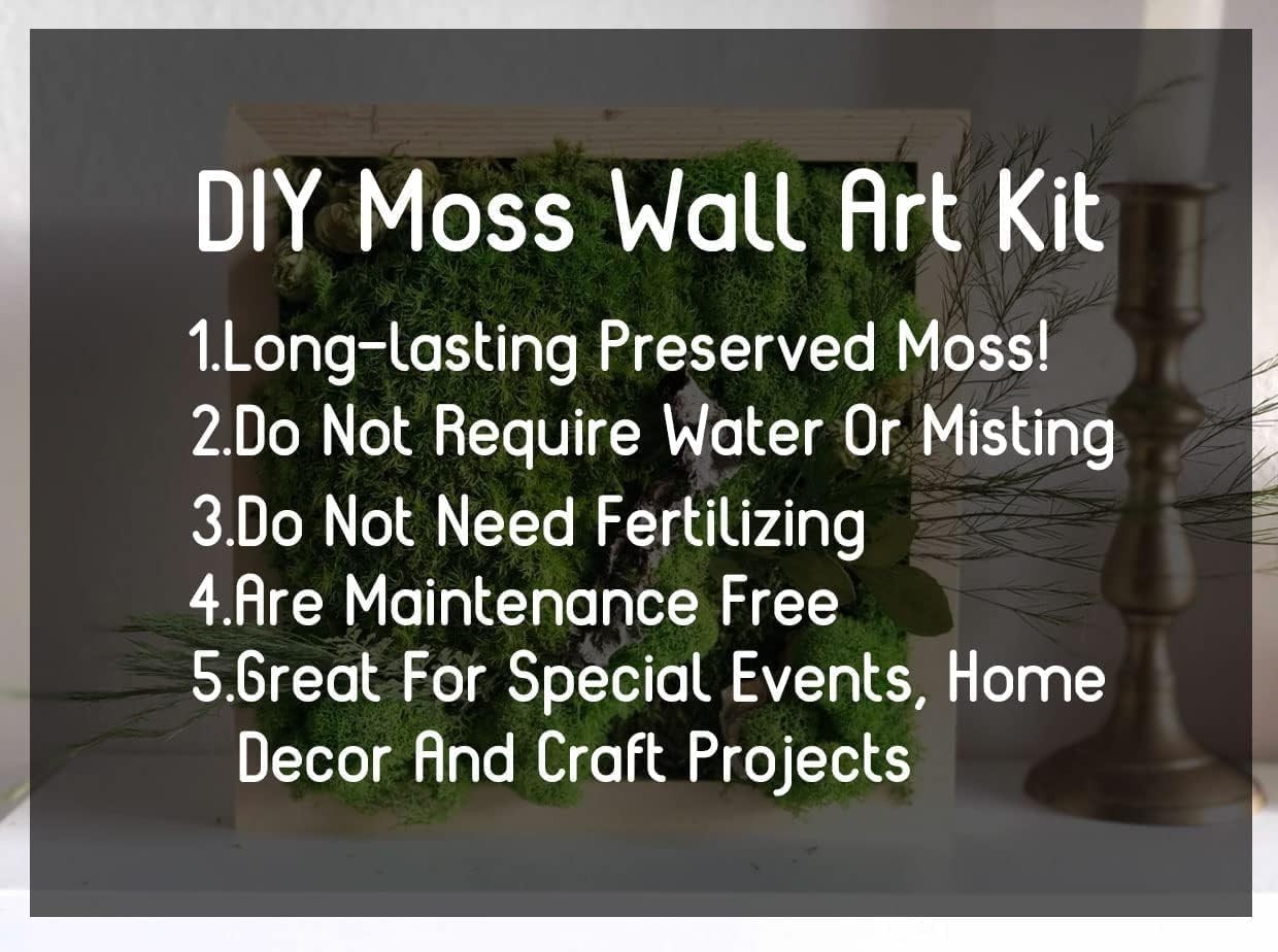Natural Reindeer Moss DIY Kit 1 lb Color Mix Green Wall Decor Artificial