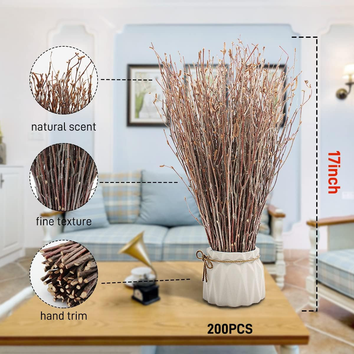 200pcs Birch Twigs 100% Natural Birch Branches for Decorating DIY Crafts Flow…