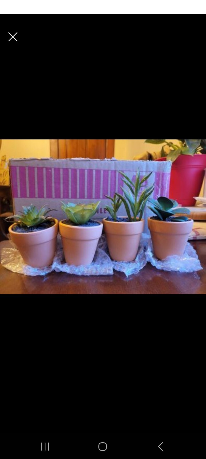 Set Of 8 Mini Faux Succulents With Terracotta Pots perfect for wedding favors
