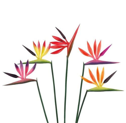 6 Pcs 23″ Yellow Artificial Bird of Paradise Flower Strelitzia Bouquets