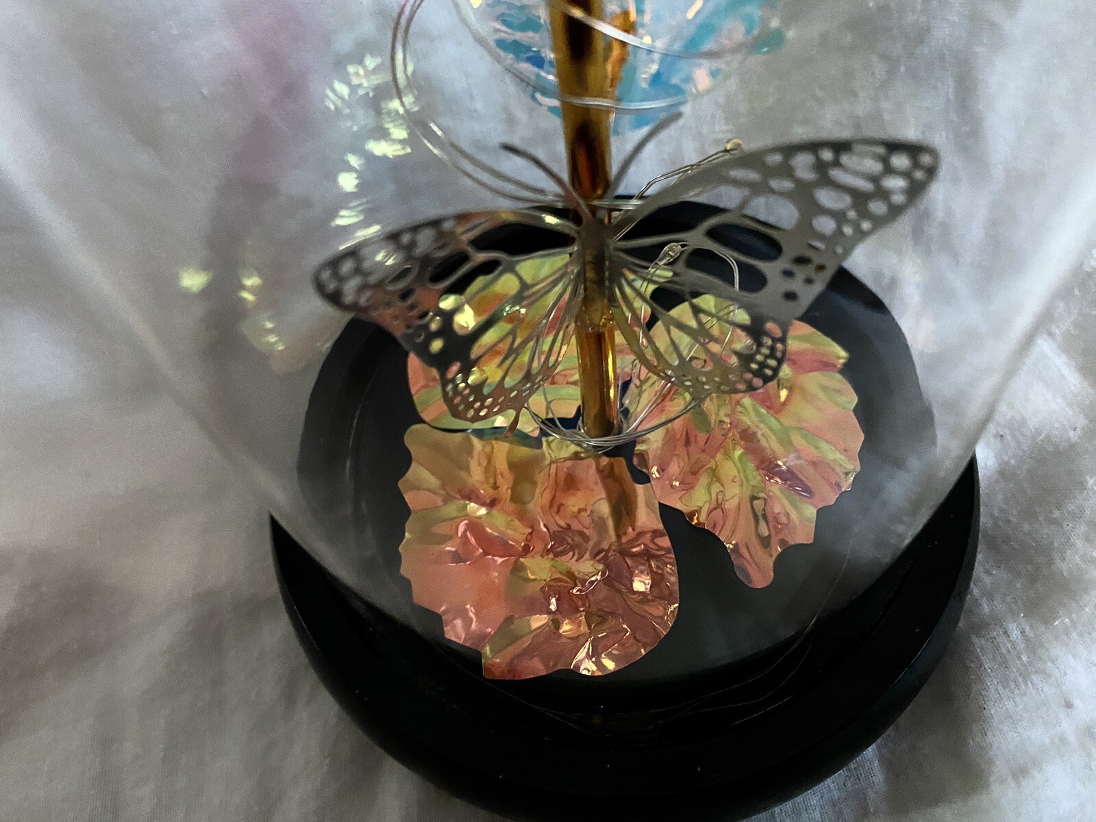 Eternal Rose In Dome With Fairy Lights Batteries Included Best Wishes Boxed Gift