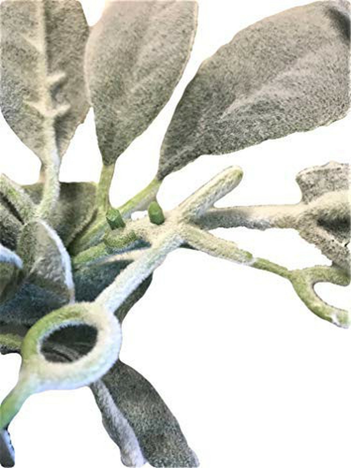 Lambs Ear Garland 6 Feet Soft Fuzzy Artificial Greenery Wedding Holiday Decor