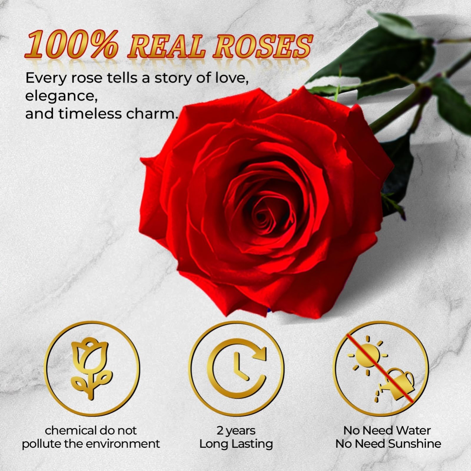 Heart-Shaped Box of 16 Preserved Red Roses – Real Immortal Flowers for Gifts, Ho
