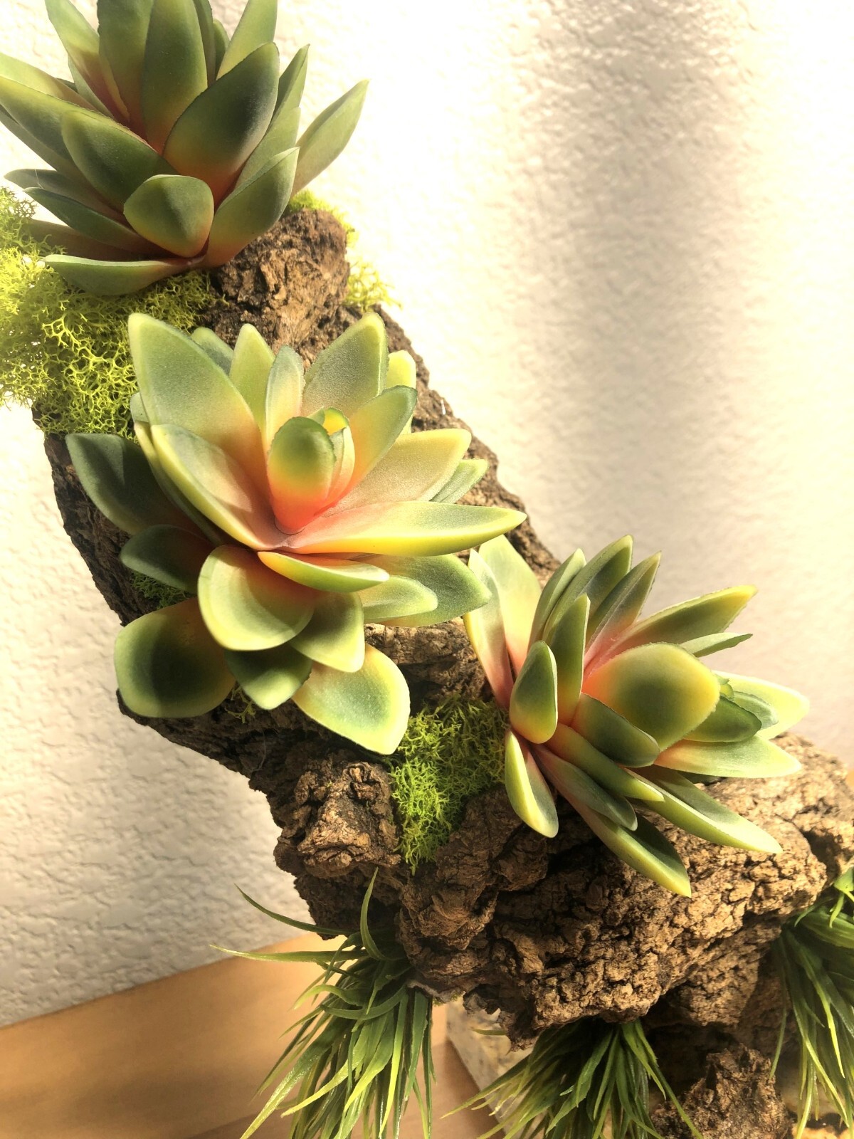 Artificial Succulent Air Plant Home Office Mounted on Real Wood Bark and Stone