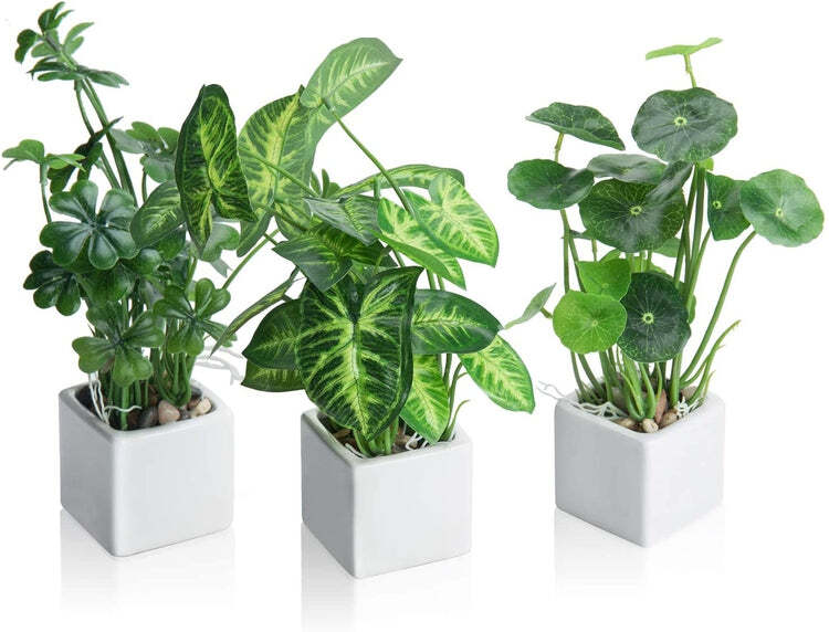 Artificial Assorted Plants, Greenery in White Square Ceramic Pots, Set of 3