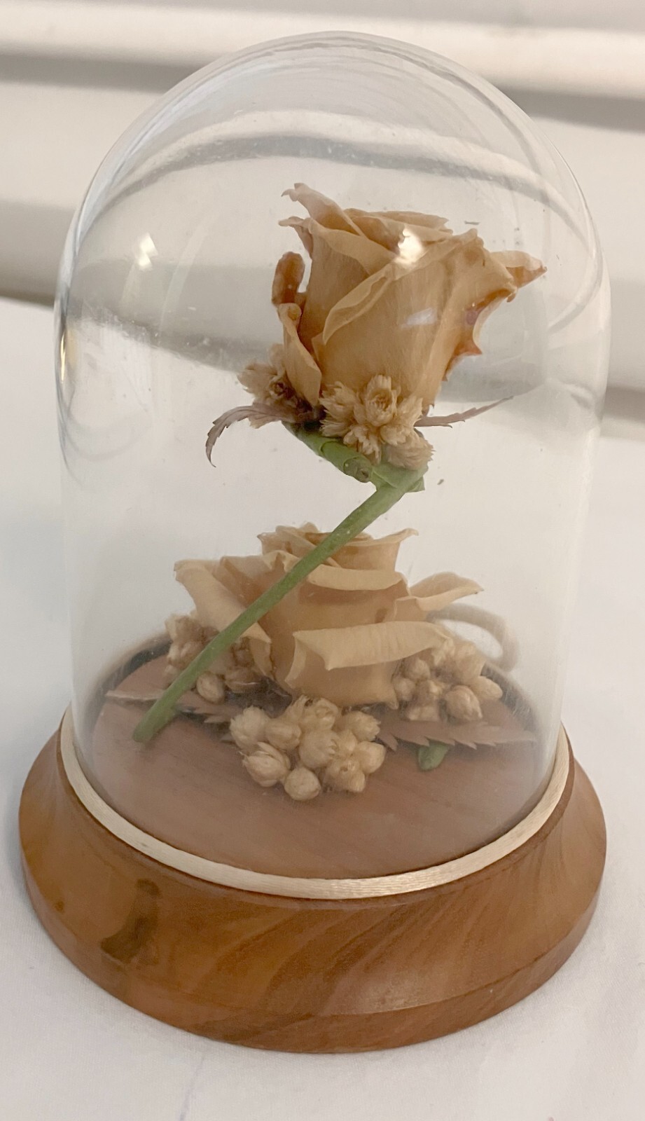 Nordflor Inc Globe Rose Flowers Wooden Base Display 5″ x 3.75″ x 3.75″
