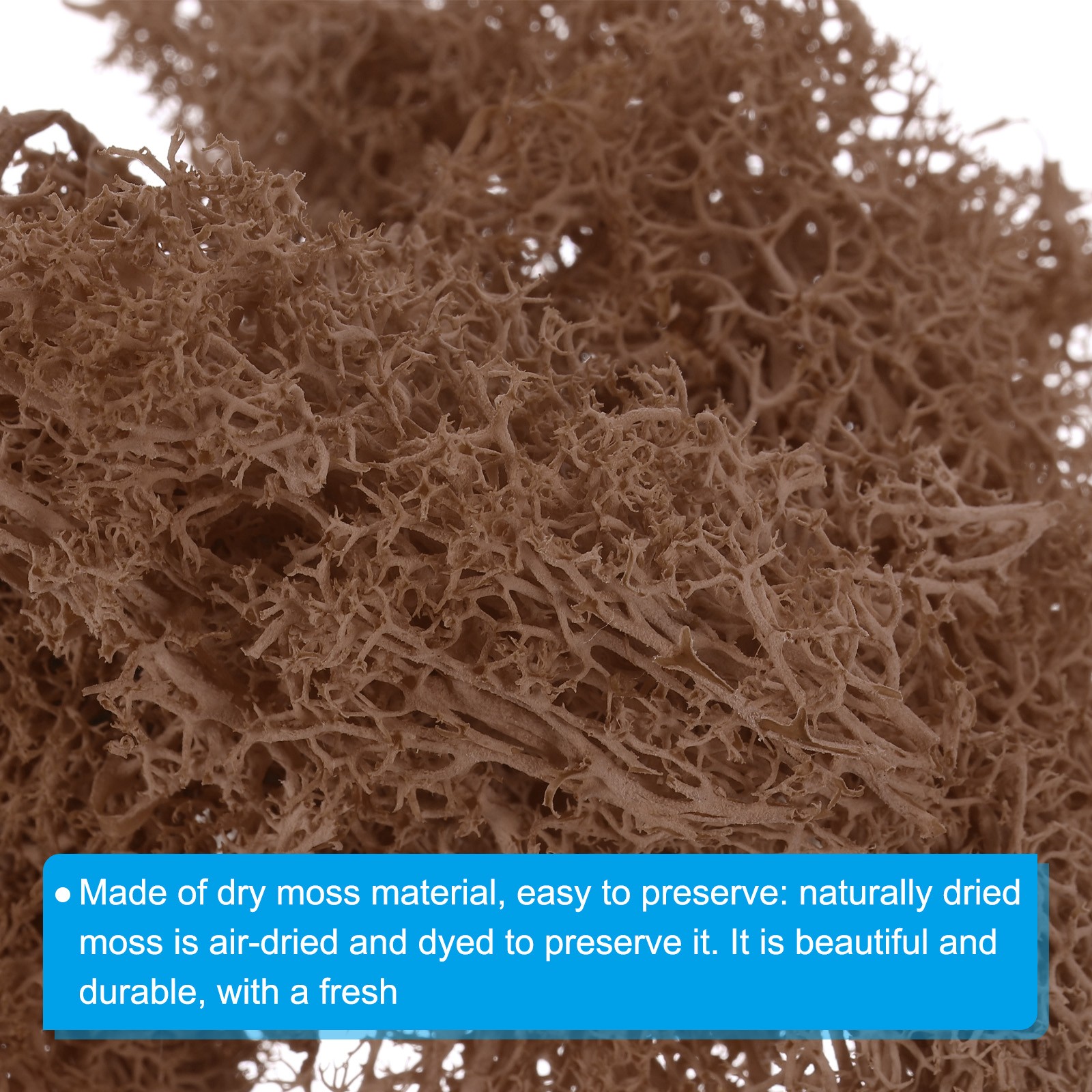 1.8 OZ Fake Moss Preserved Reindeer Moss Artificial Moss Lichen Coffee