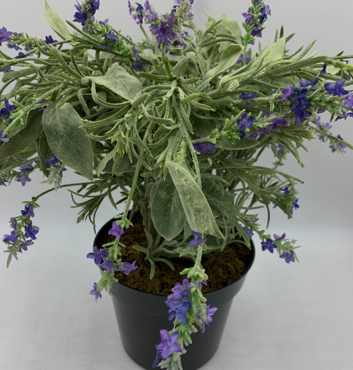 Pottery Barn Faux Potted Lavender in Terracotta Pot Large 24.5″ H #1692