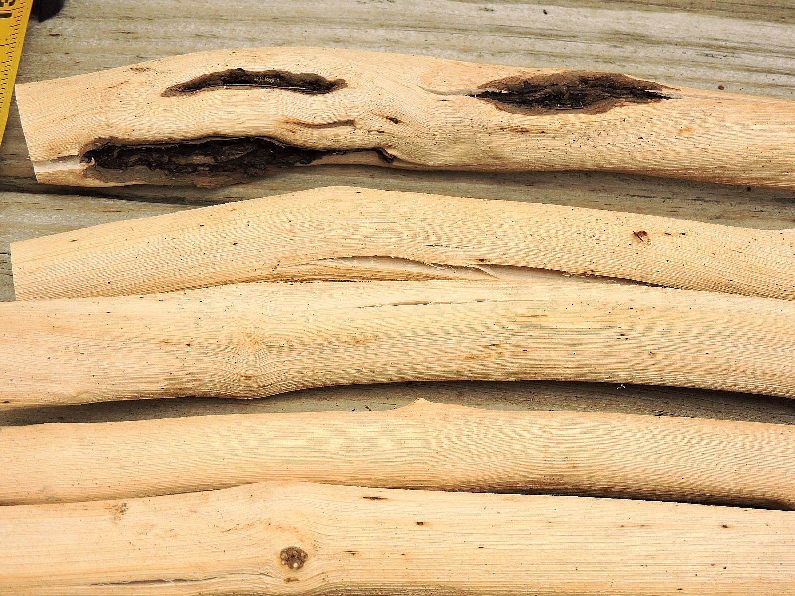 10 Grapevine Wood Stick Section 3/4~1 1/8″D 11~13″L Driftwood Decor Crafts