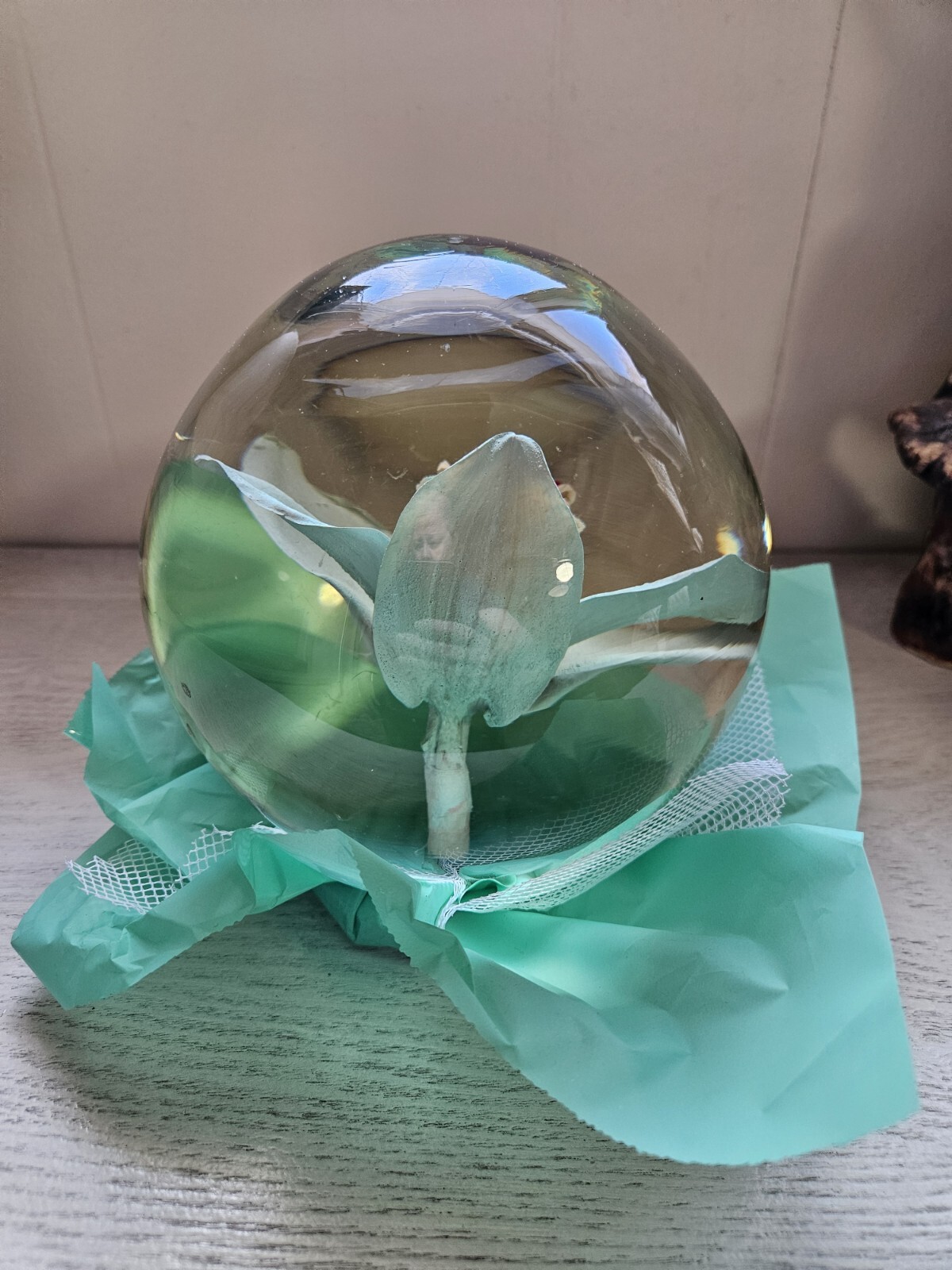 Bill Doran Mexico ORCHID Flower Globe Preserved Decor 7″ Teal Green Clear Gorg!!